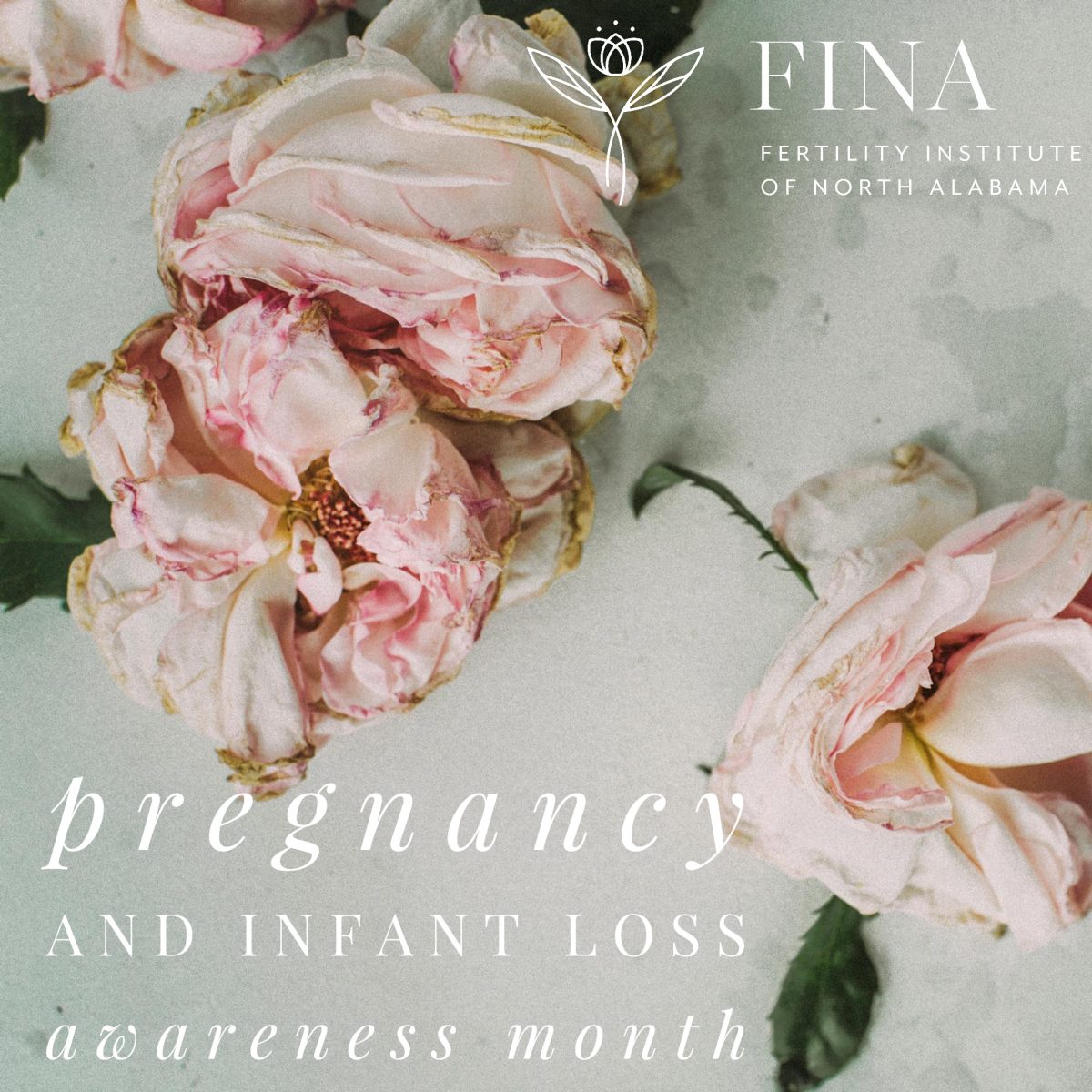 Pregnancy & Infant Loss Awareness Month