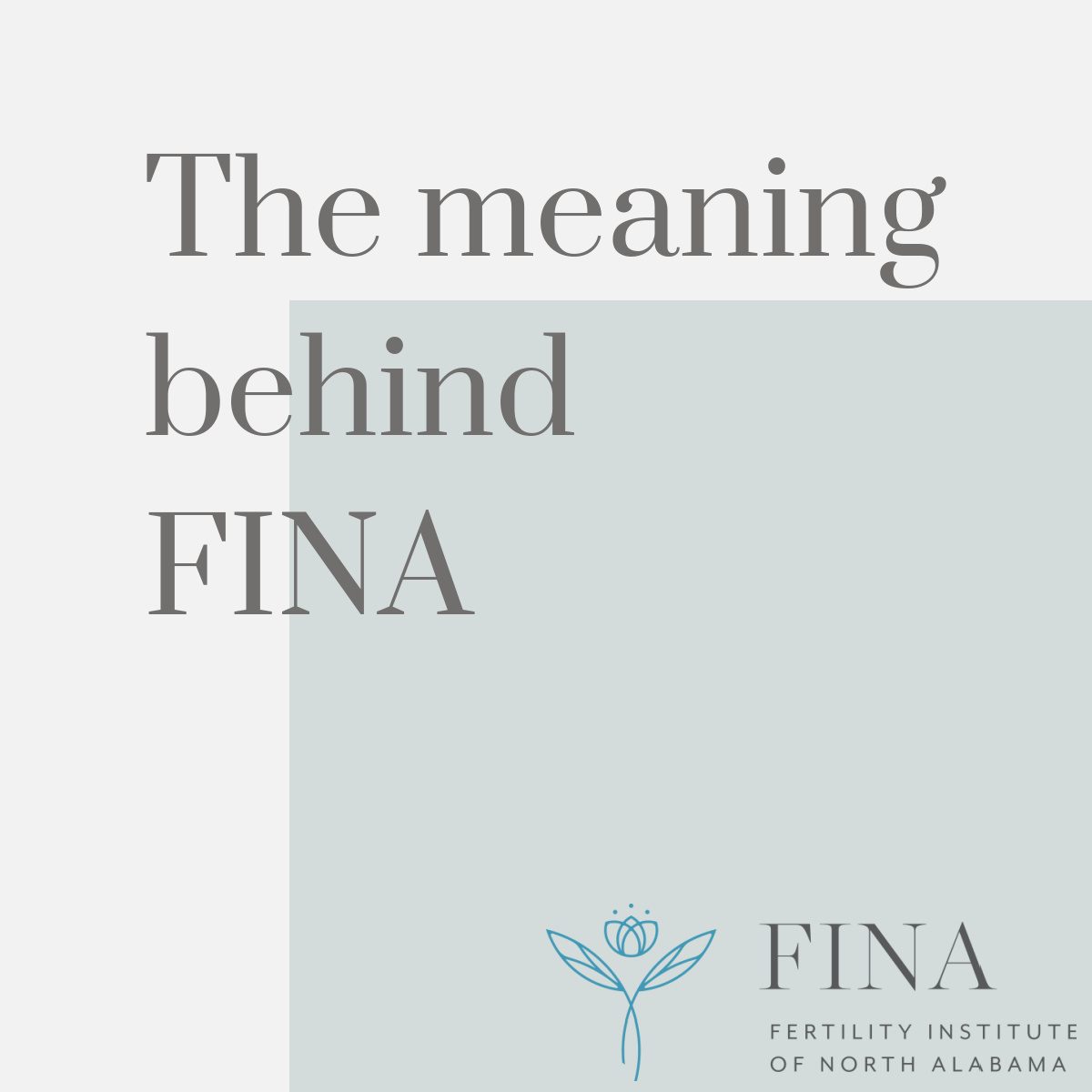 The meaning behind FINA