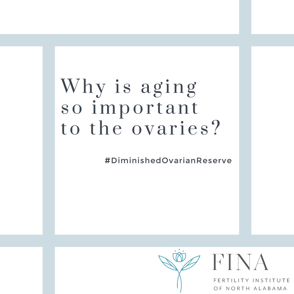 Why is aging so important to the ovaries?